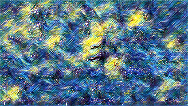 Quedan menos de 10 vaquitas marinas. ¿Se puede salvar la especie?