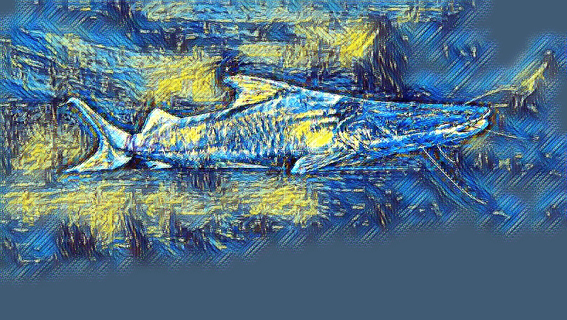 6 nước Amazon ký kế hoạch bảo vệ cá dorado di cư xuyên lục địa