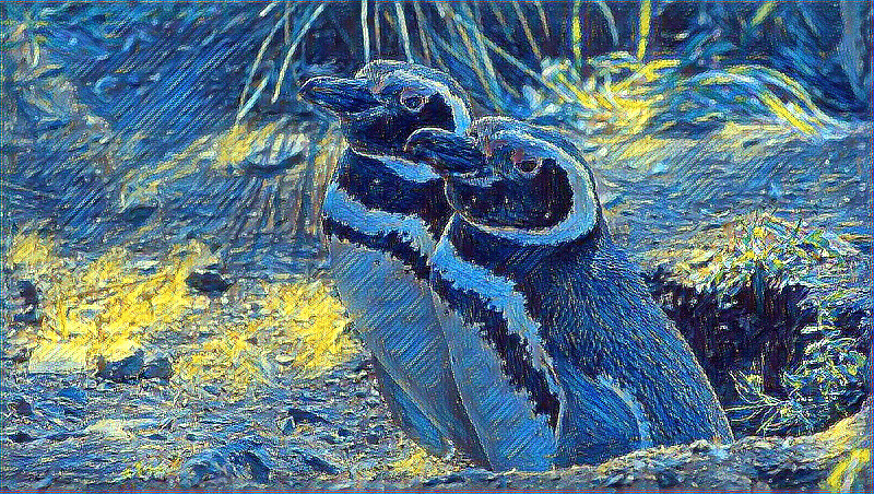 Penguins Track 'Forever Chemicals' Pollution in Patagonia