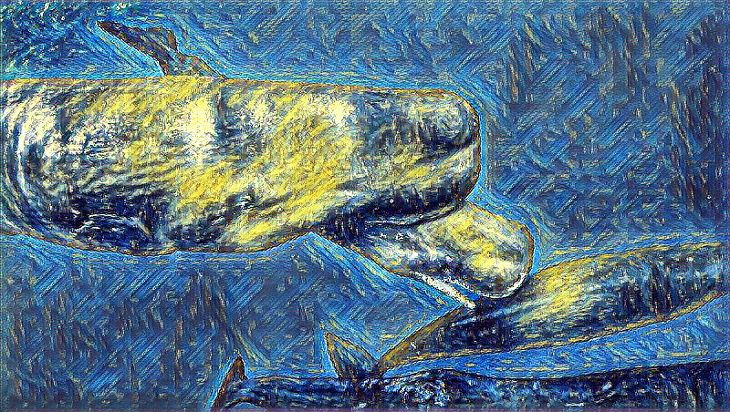 Cá voi lưng đồng sinh sản: Lần ghi nhận hiếm trong tự nhiên